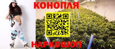 хмурый Тара