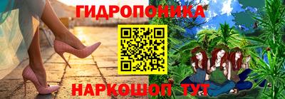 индика Тверь