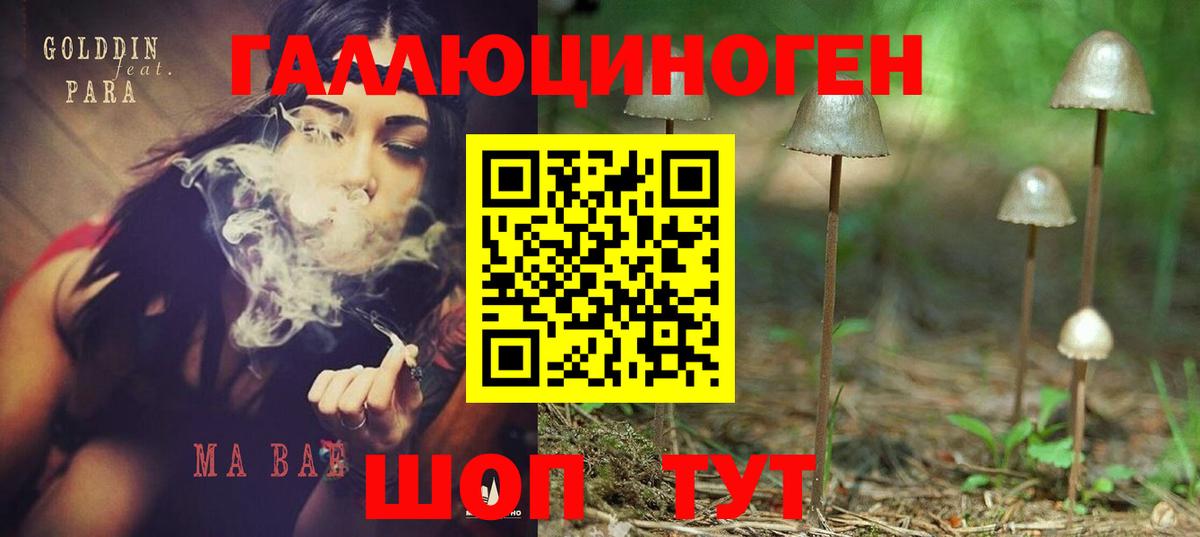 Псилоцибиновые грибы Psilocybe  Вход с VPN  Нижний Новгород  Галлюциногенные грибы Cubensis 